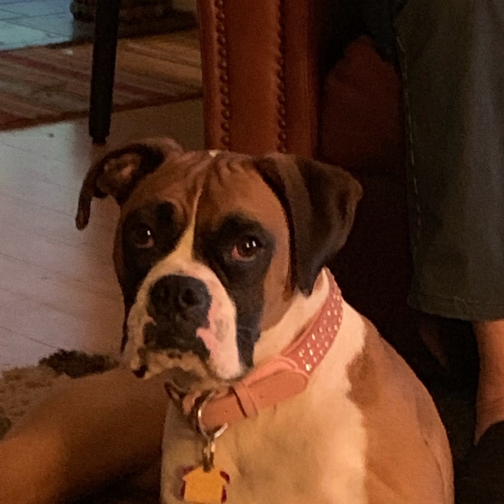 Meet your Posher, Kevin